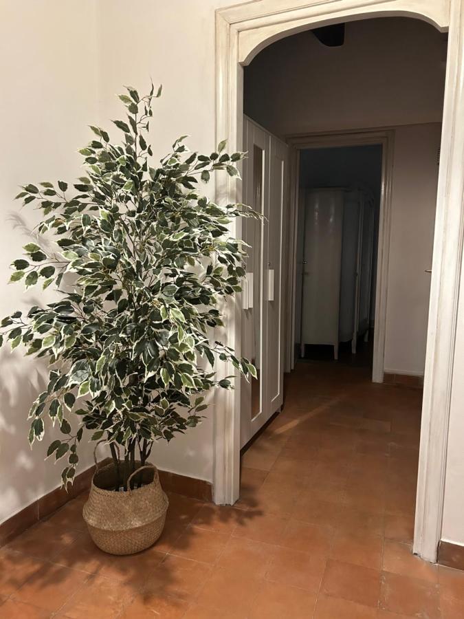 Апартаменты La Casa Di Gioia Остия-Антика Экстерьер фото